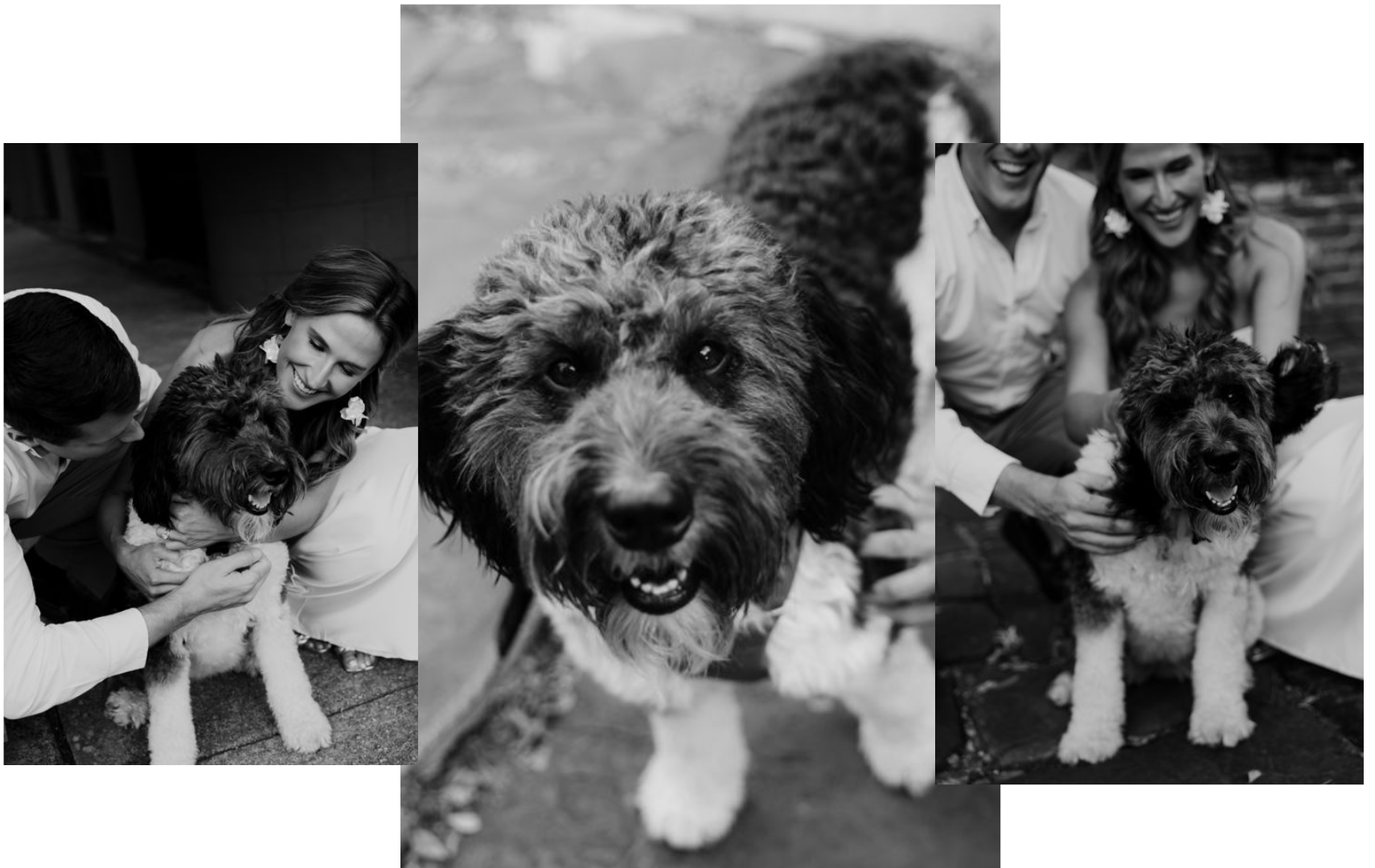 f582a0a5-413f-4bd0-b34f-83912651bbc9