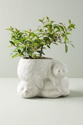 Sloth Garden Pot