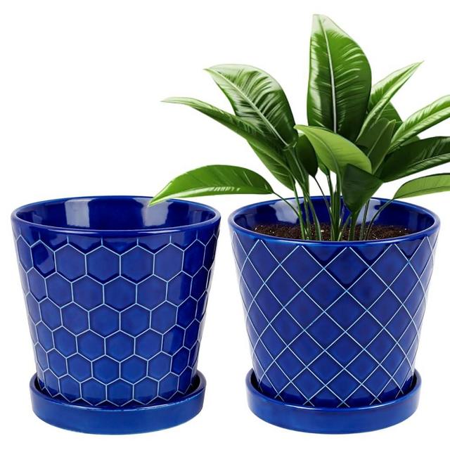 BUYMAX Plant Pots Indoor –6 inch Ceramic Flower Pot with Drainage Hole and Ceramic Tray - Gardening Home Desktop Office Windowsill Decoration Gift, Set of 2(Royal Blue)