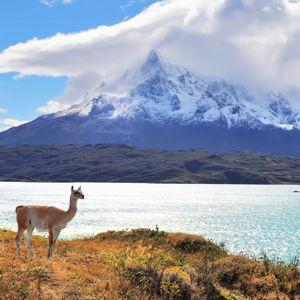 Honey Moon to Patagonia
