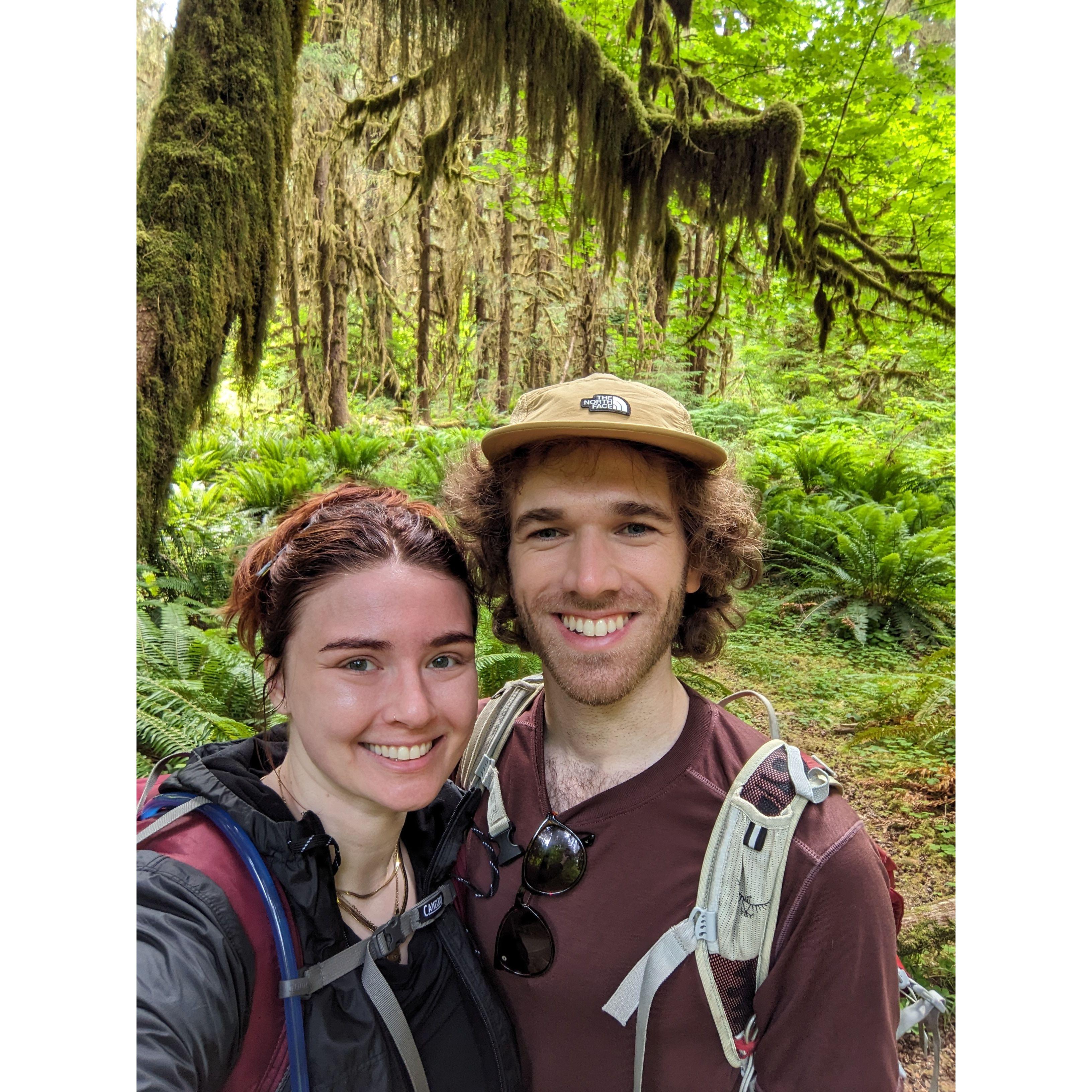 Hoh Rainforest, WA