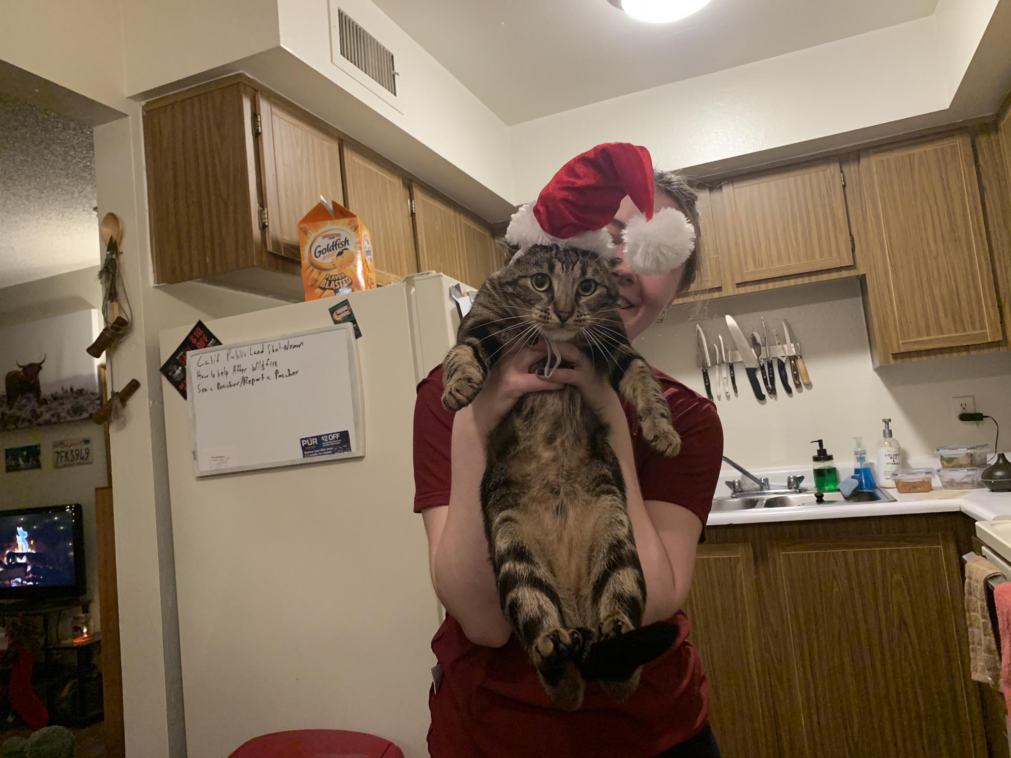 Baby’s First Christmas 2021