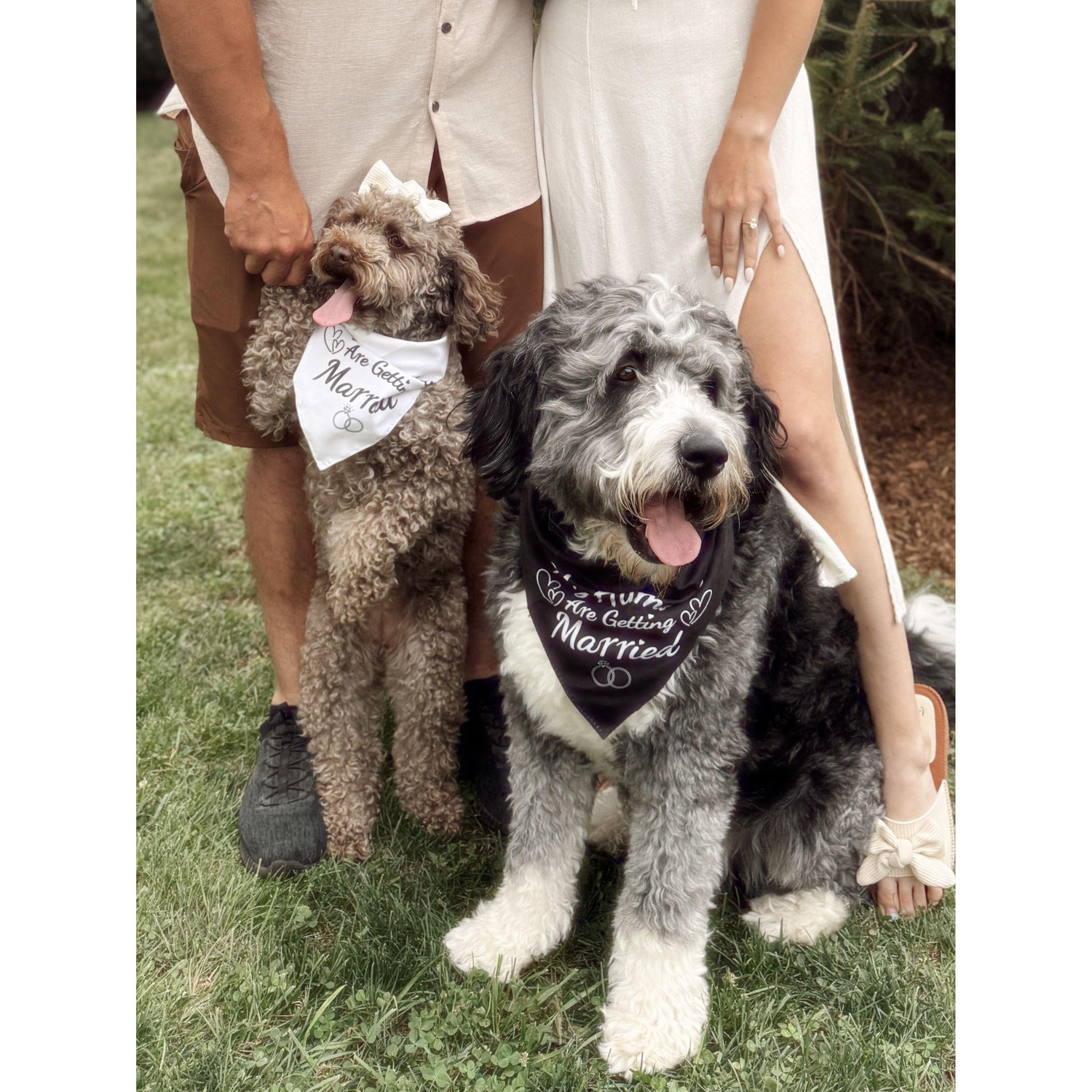 Our fur babies - Thea & Oakley