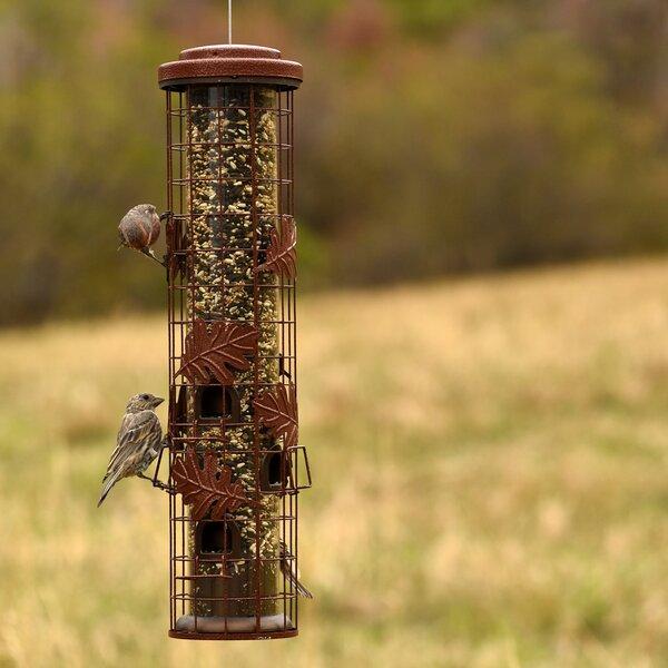 Squirrel-Be-Gone Tube Bird Feeder