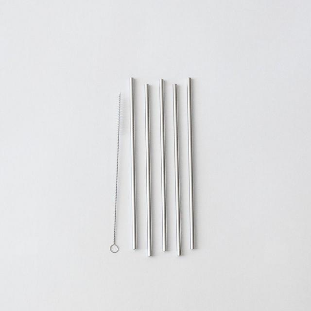 Stainless Steel Straws, Set of 5