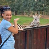 Safari Valley Resort