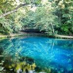 Maramec Springs Park