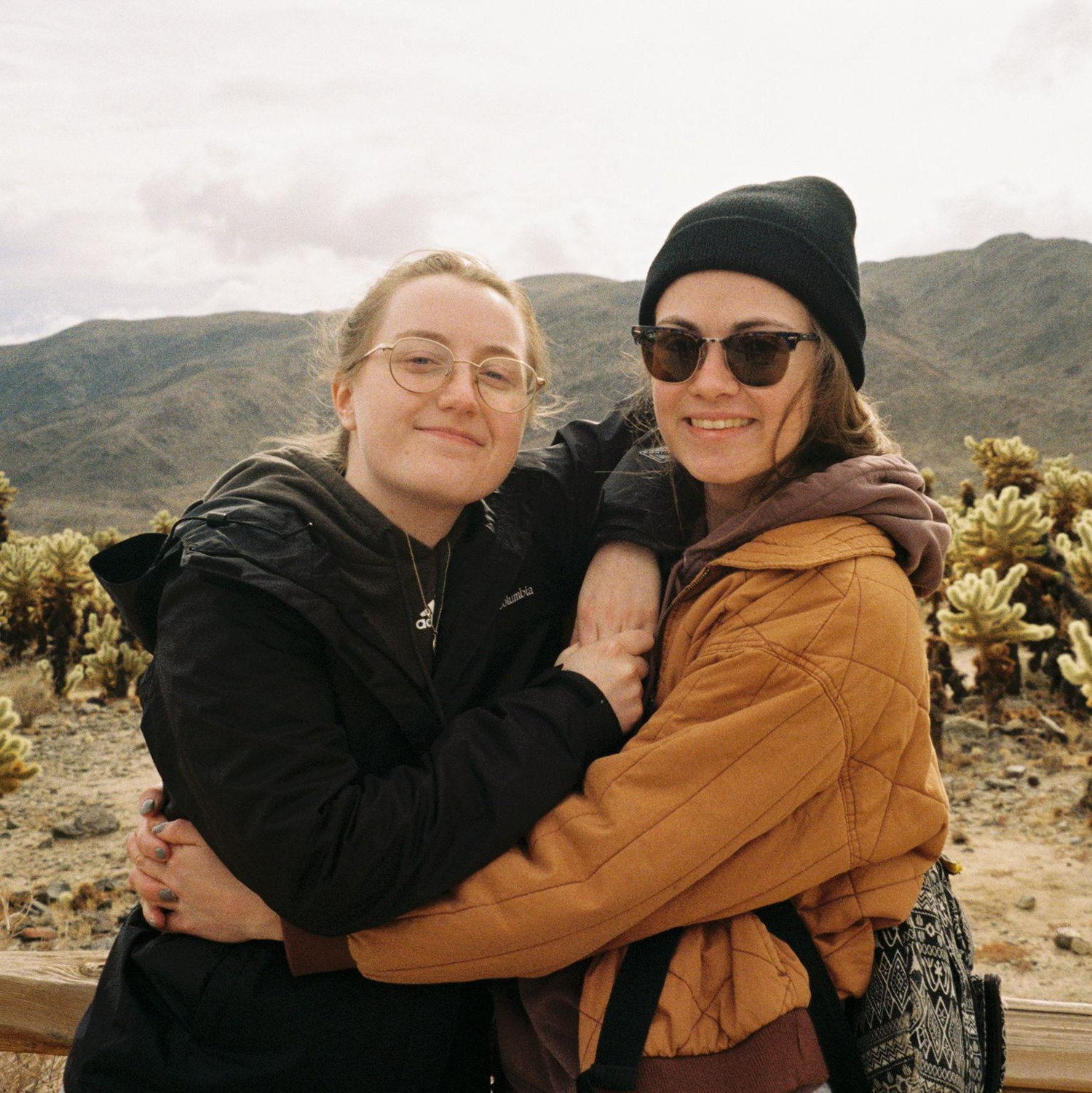 Joshua Tree 2023