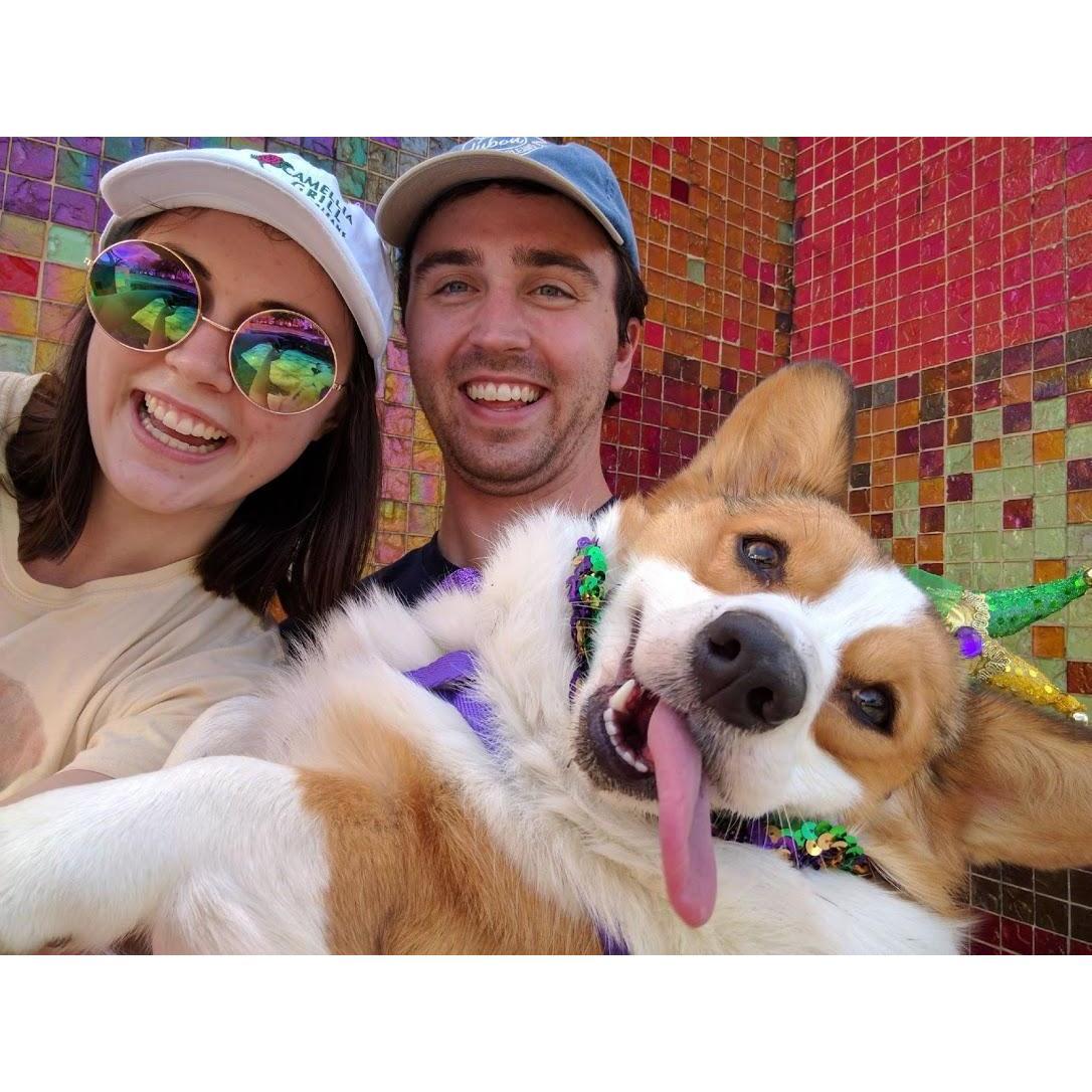 BARKUS 2017