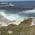 La Jolla Cove