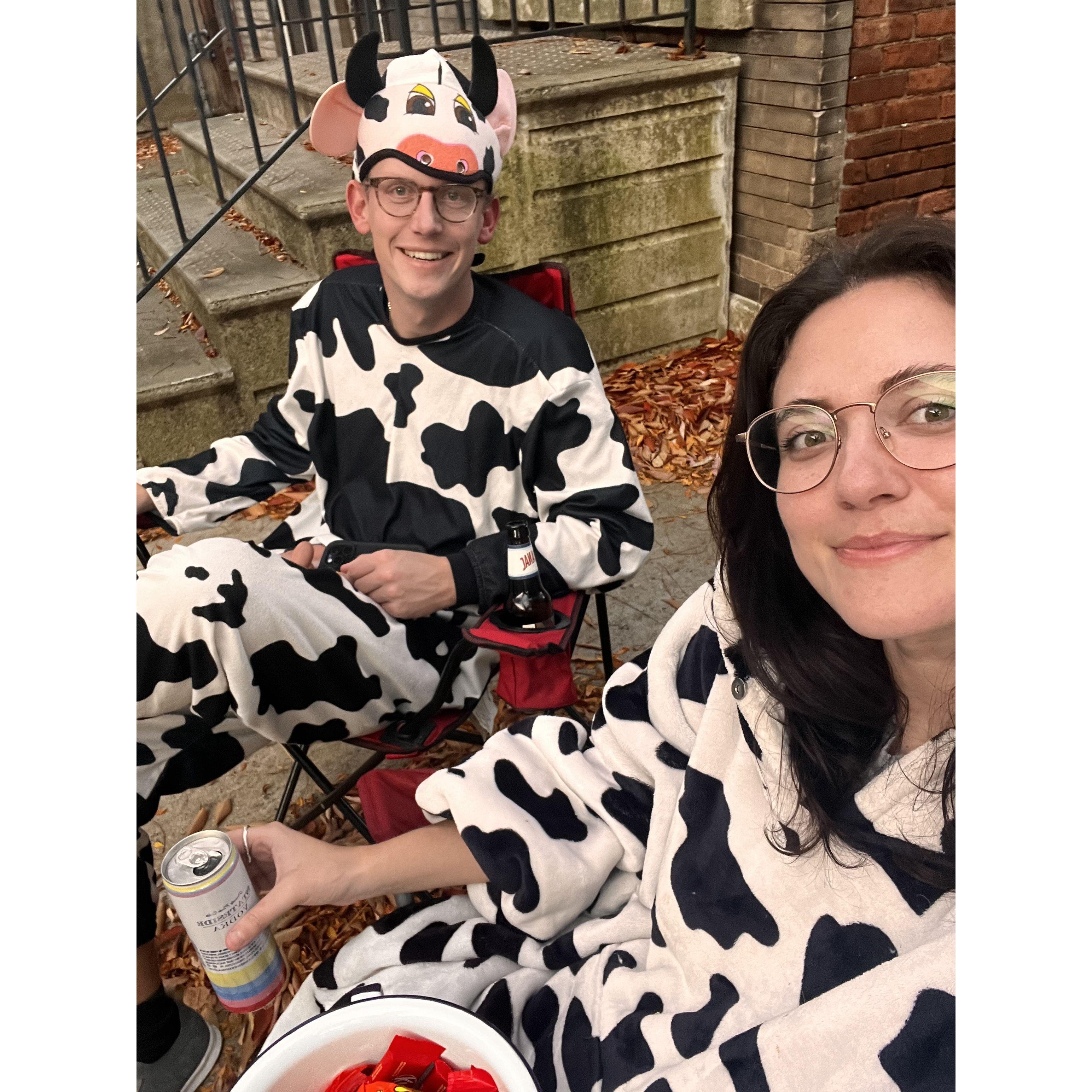 Our first halloween at the house in NY