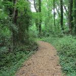 Chesapeake Arboretum