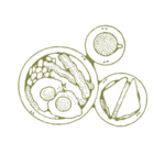 McGlade's On The Pier