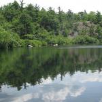 Wawayanda State Park