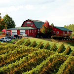 Carter Mountain Orchard and County Store