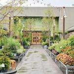 Anthropologie