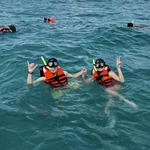 Activity - Tulum Snorkel Services