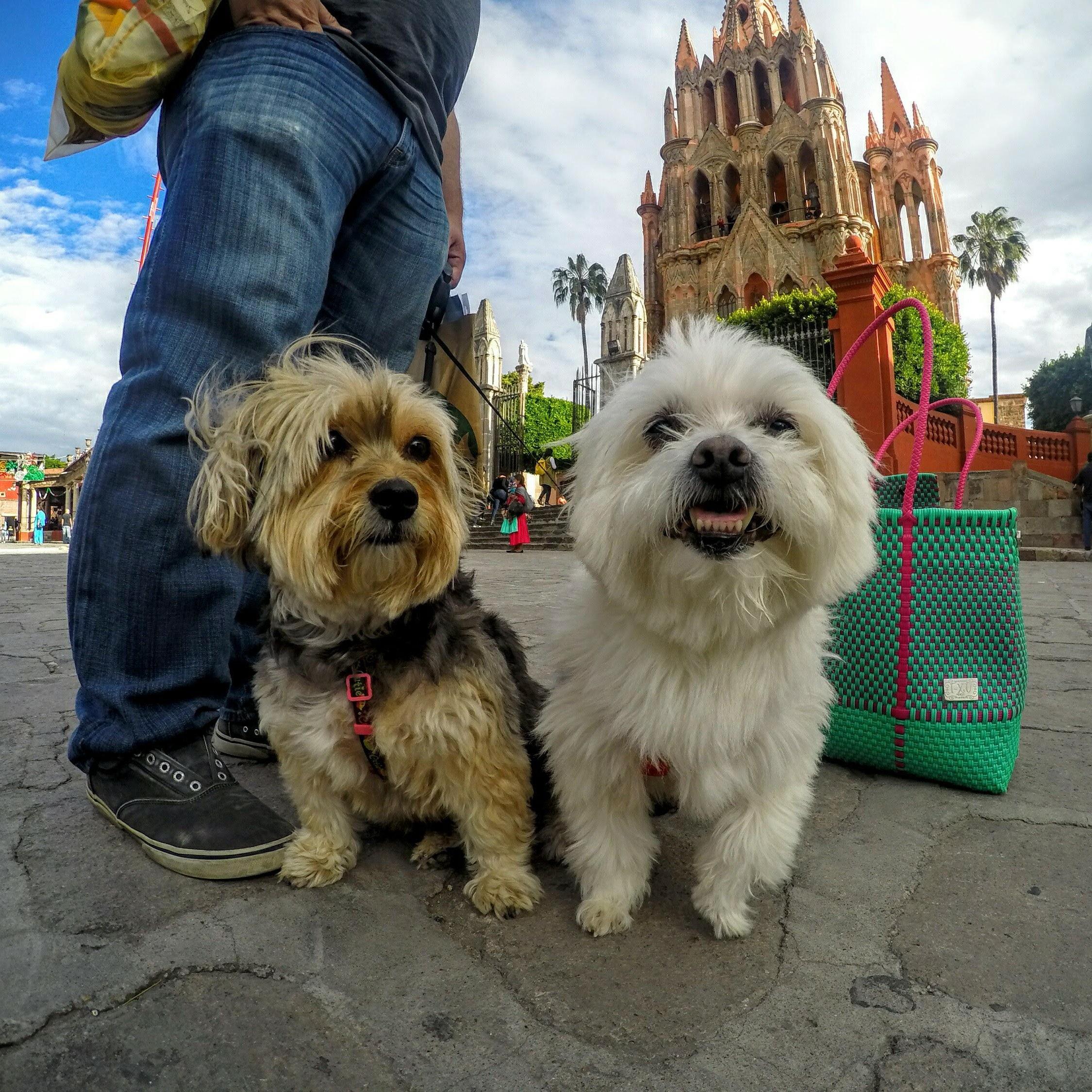 Luna y Cuauhtémoc en su primera visita a San Miguel de Allende.