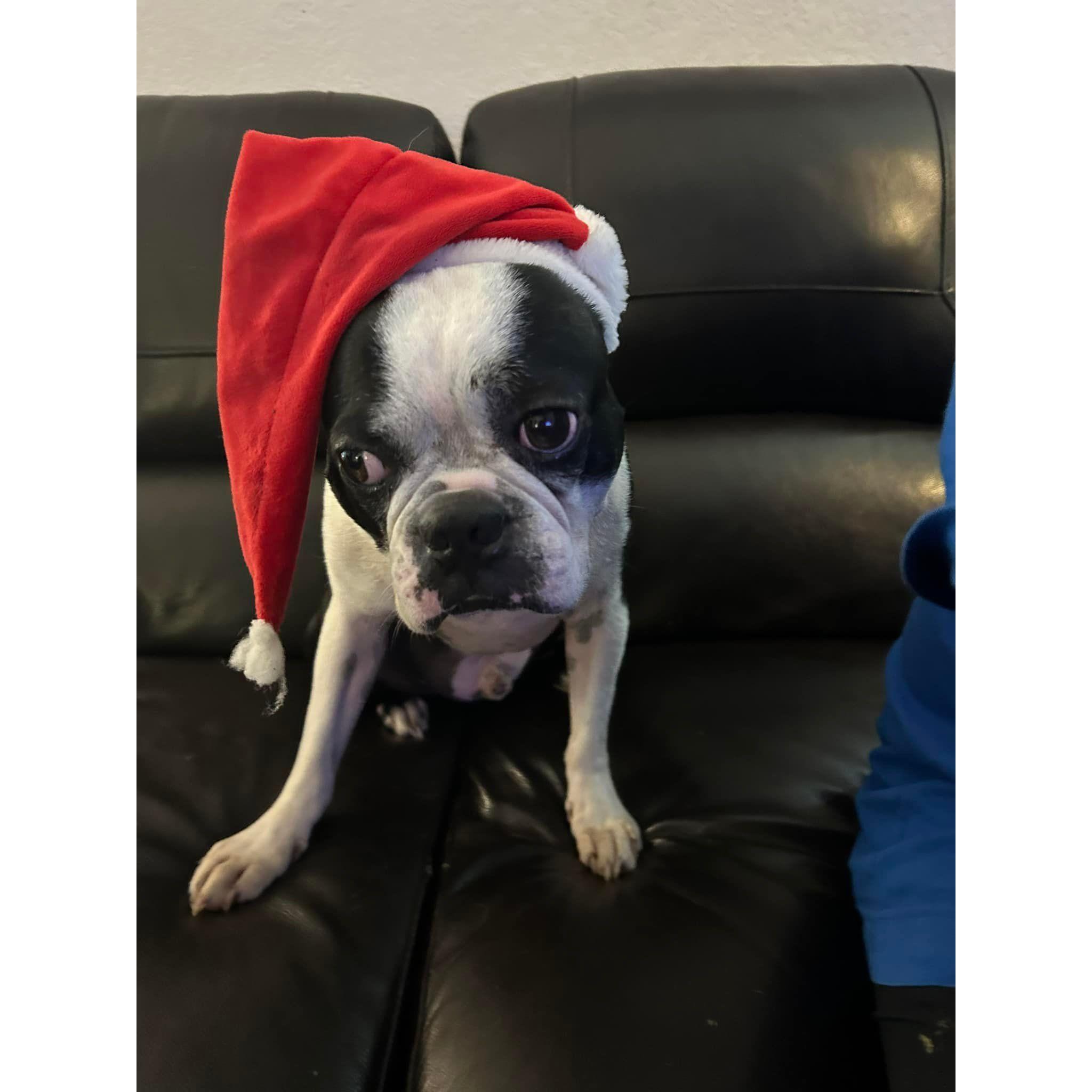 Merry Christmas Stichy