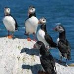 Nature Tours