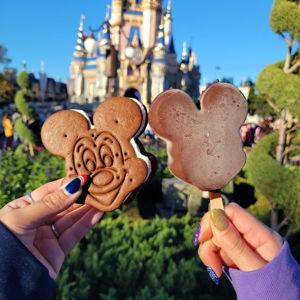 Honeymoon Disney World Snacks