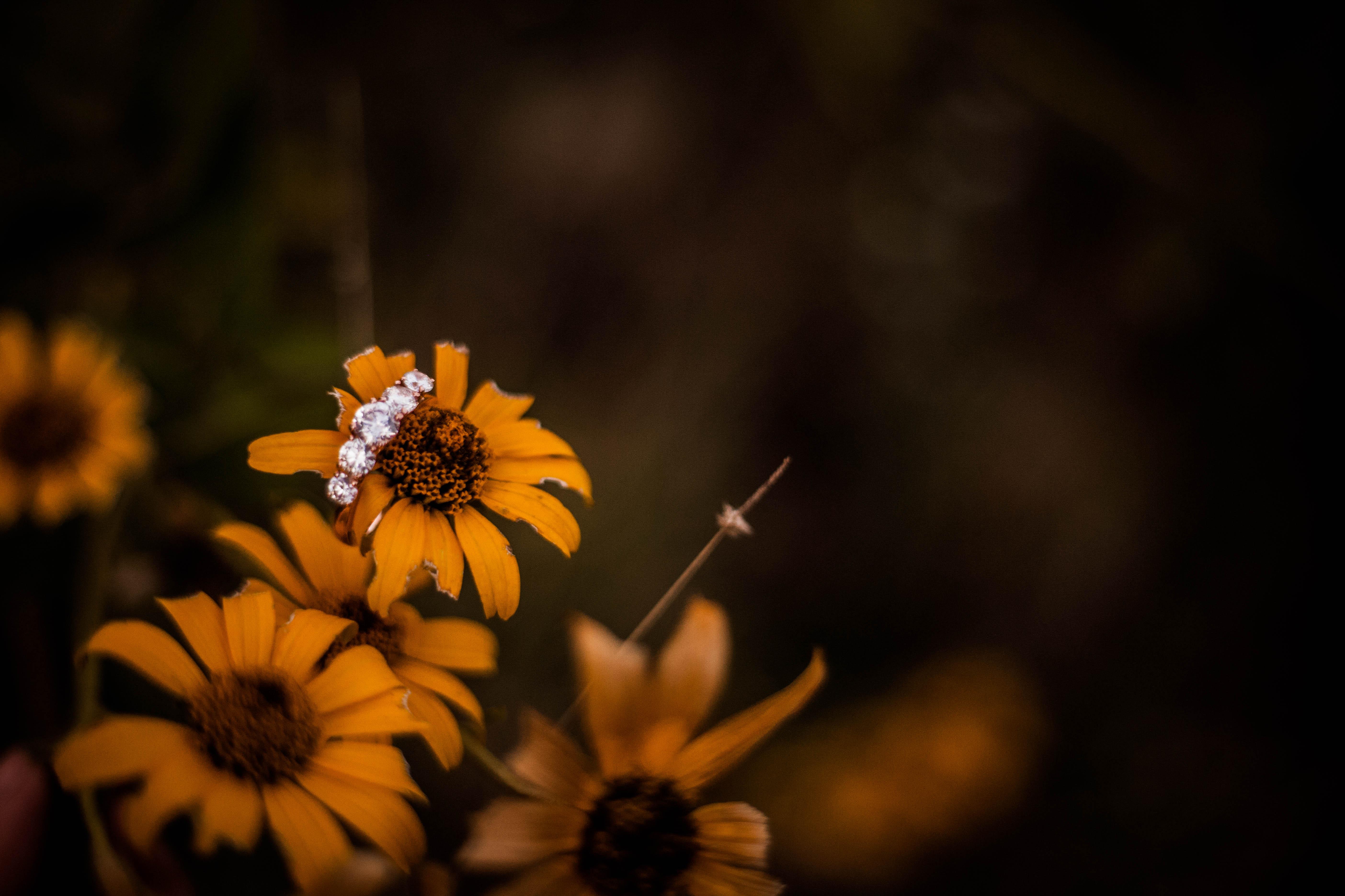 The Wedding Website of Kelsey Johnson and Travis Viker