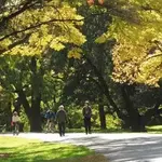 Arnold Arboretum of Harvard University