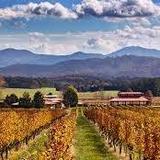 King Family Vineyards