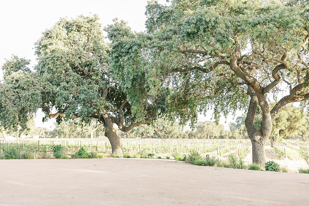 The Wedding Website of Andrea Ellis and Trevor Smith