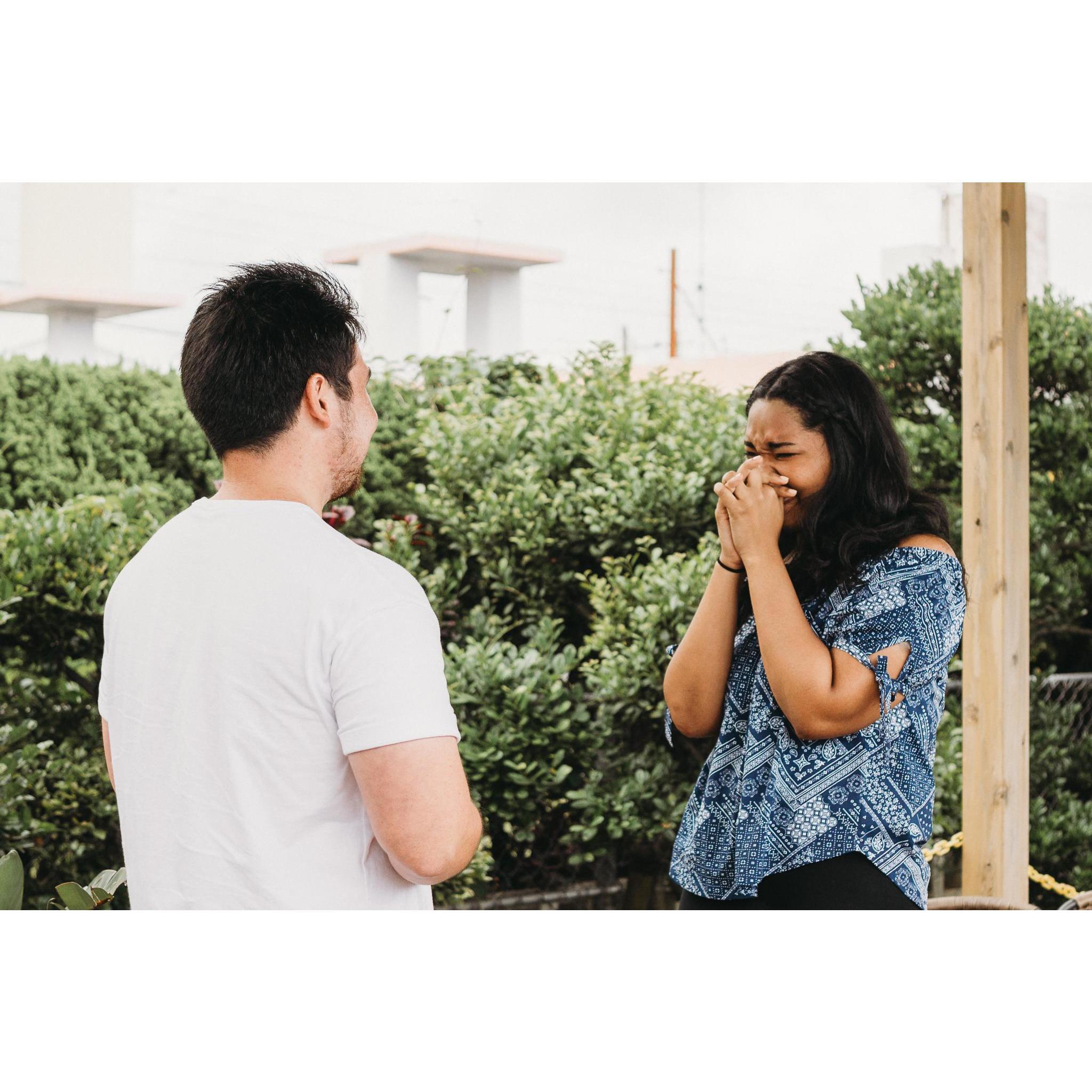 Proposal Day! 4.22.2019