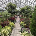 Hidden Lake Gardens