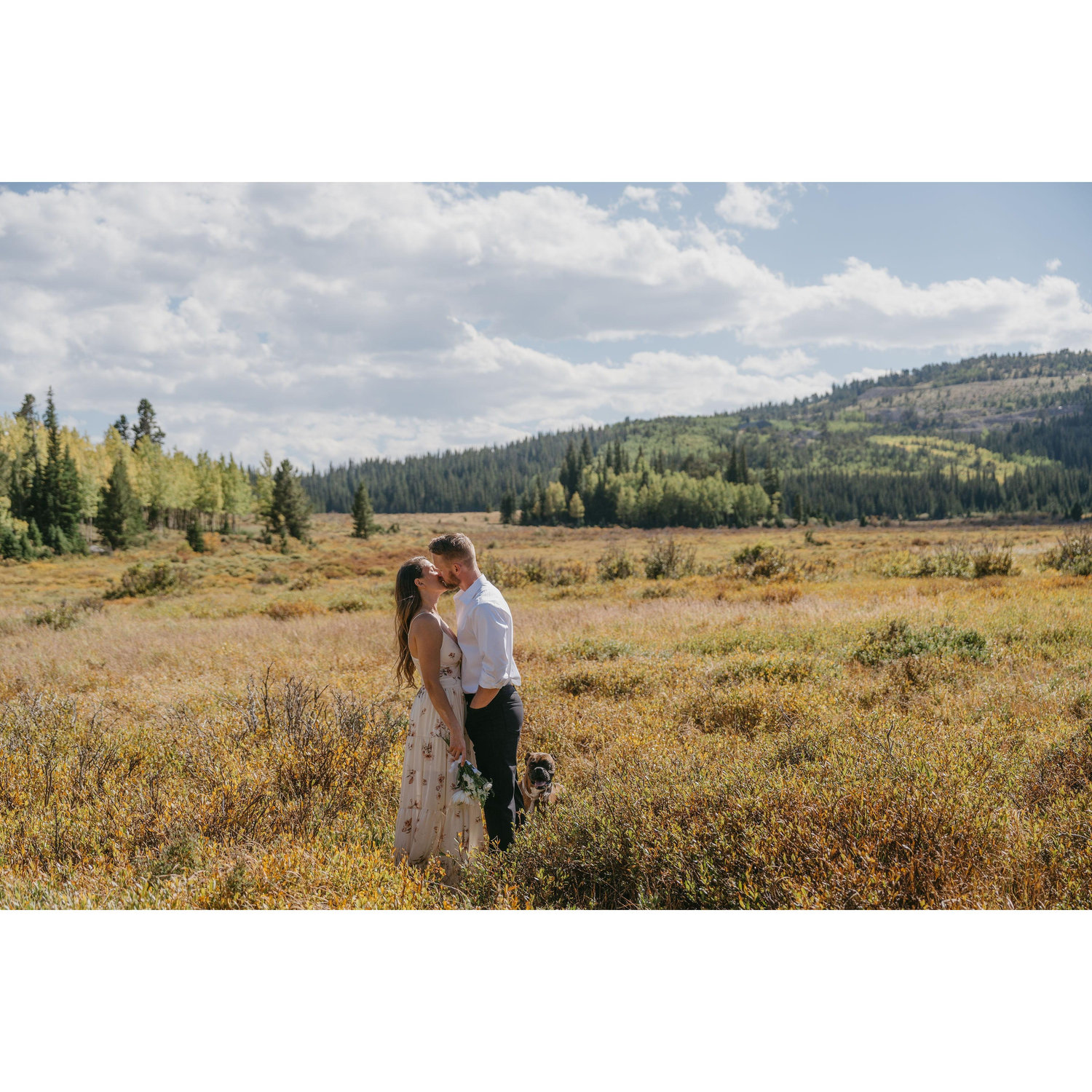 Photos in the meadow