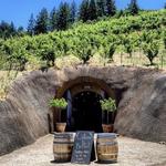 Sonoma County Wine Tasting