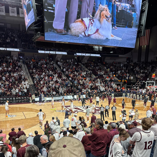 Basketball Tickets For Two