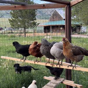 Farm Fund