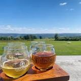 Steuben Brewing Company