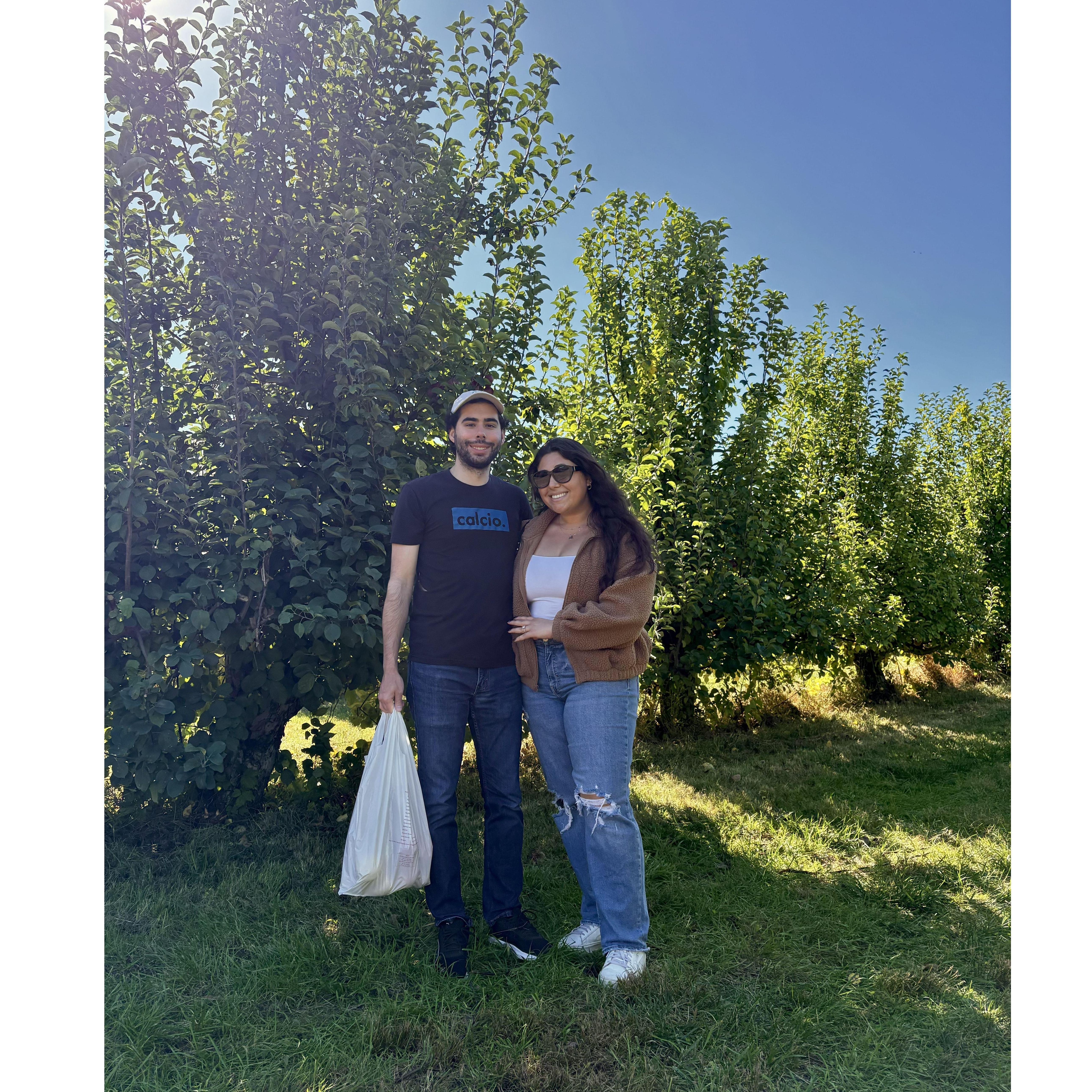 Annual apple picking tradition (2024)