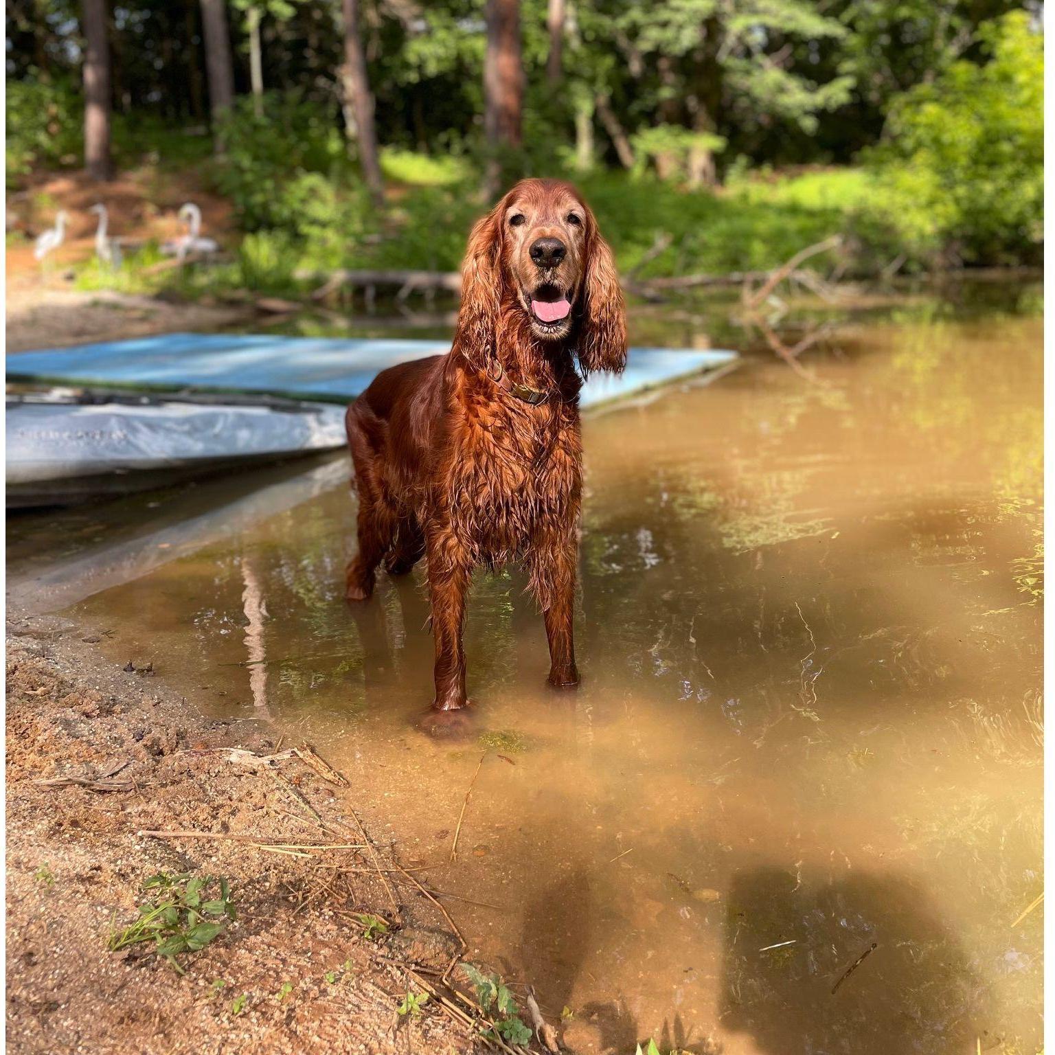Ol' Red, always wondering where Michael is if he isn't in his sight.