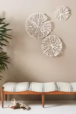 Sand Dollar Wall Hangings, Set of 3