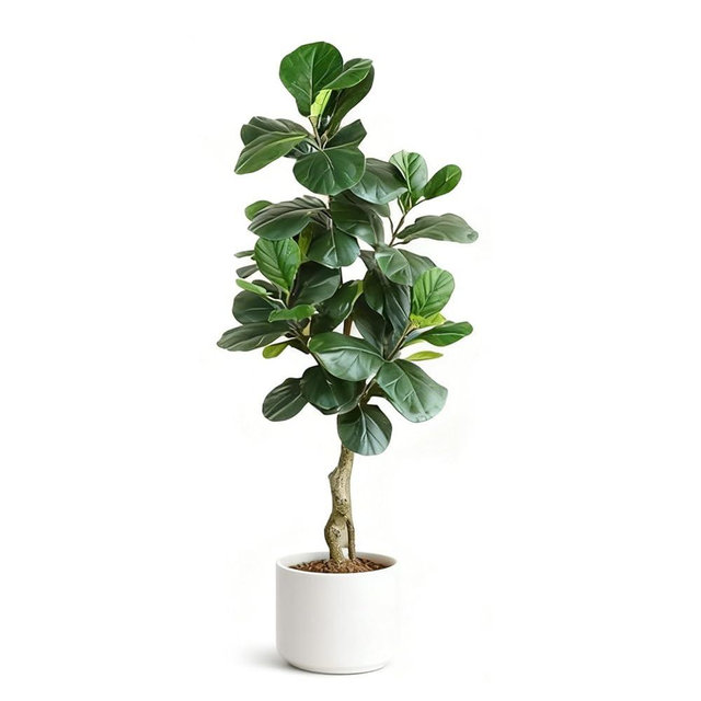 FanLin 5.2FT Artificial Fiddle Leaf Fig Tree with White Planter Pot/Coconut Silk Realistic Fake Tall Plant Indoor and Outdoor Large Fake Plants/Big Plants (160cm)