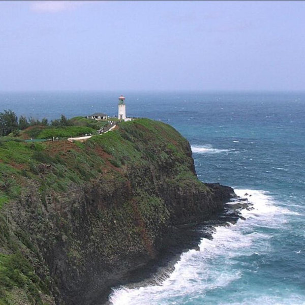 Visit Kilauea Point