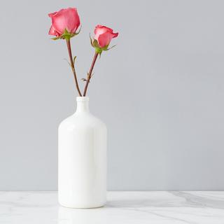 Mod Seltzer Vase