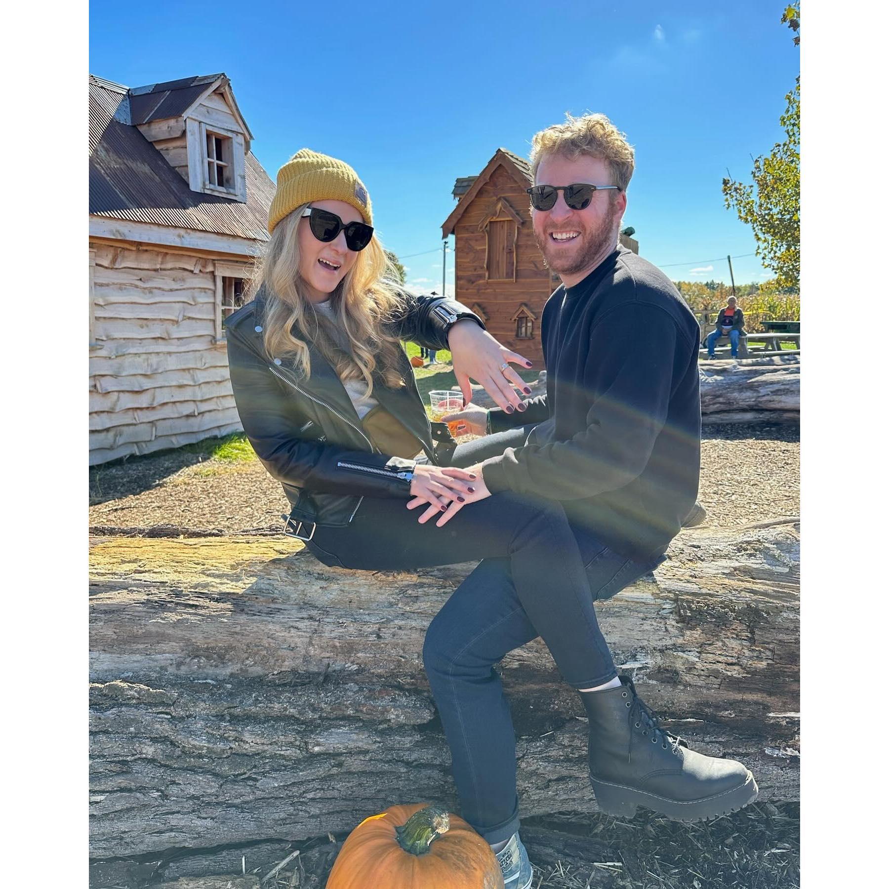 Pumpkin Patch Fall 2023