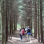 Hiking in the Shenandoah National Park