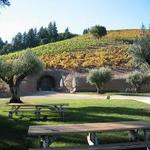 Bella Vineyards & Wine Caves