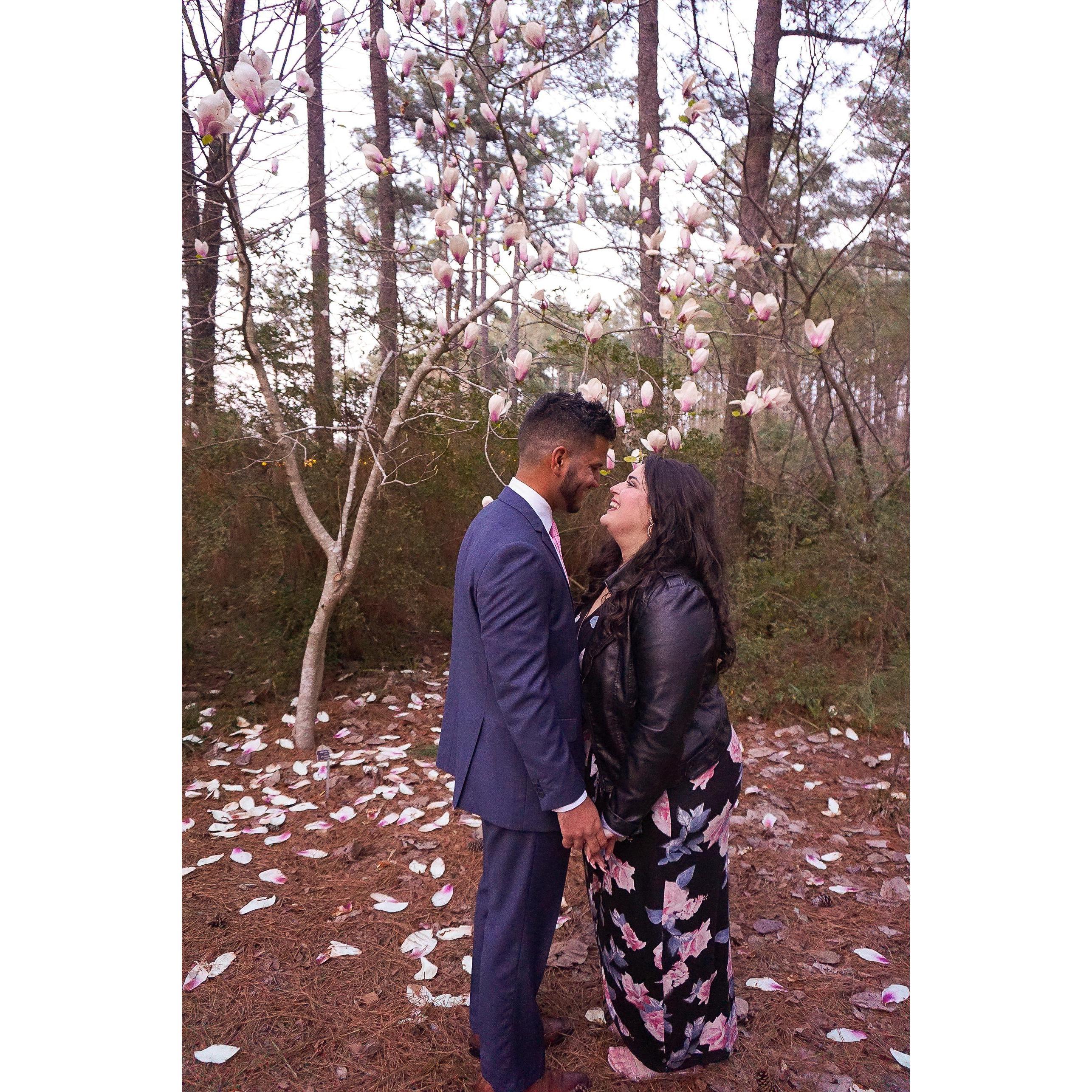 Like a Hallmark Movie