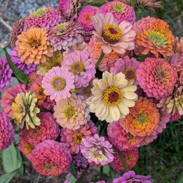 Garden fund