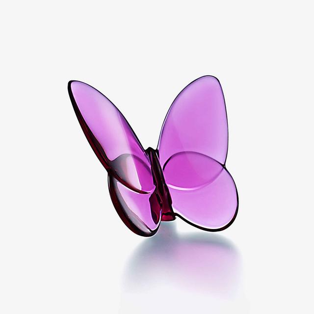 Lucky Butterfly