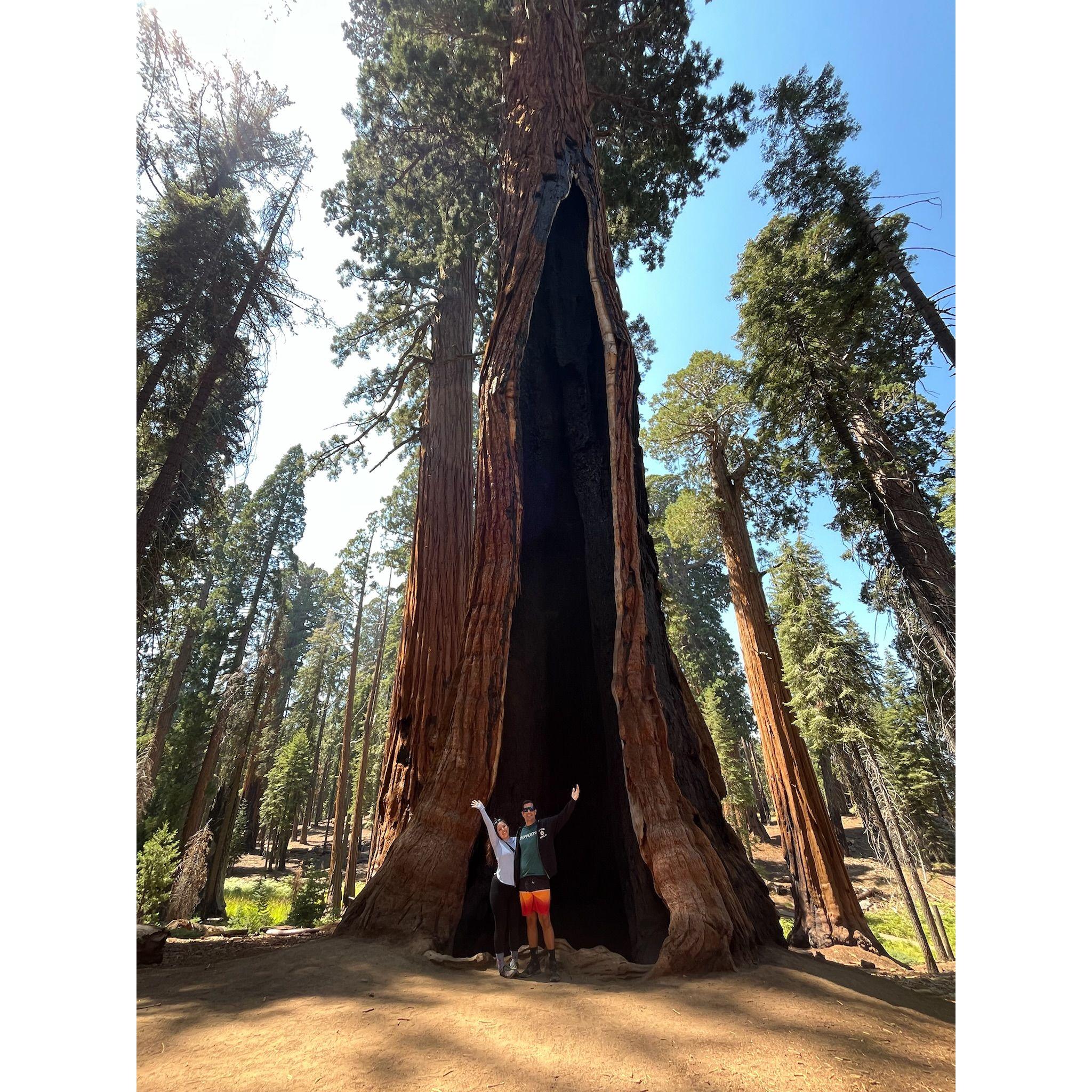 First time in Sequoia together!