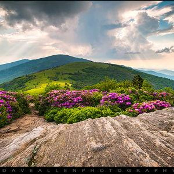 Honeymoon Fund (Backpacking/Glamping in Roan Highlands, NC)